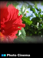 posterImage.jpg